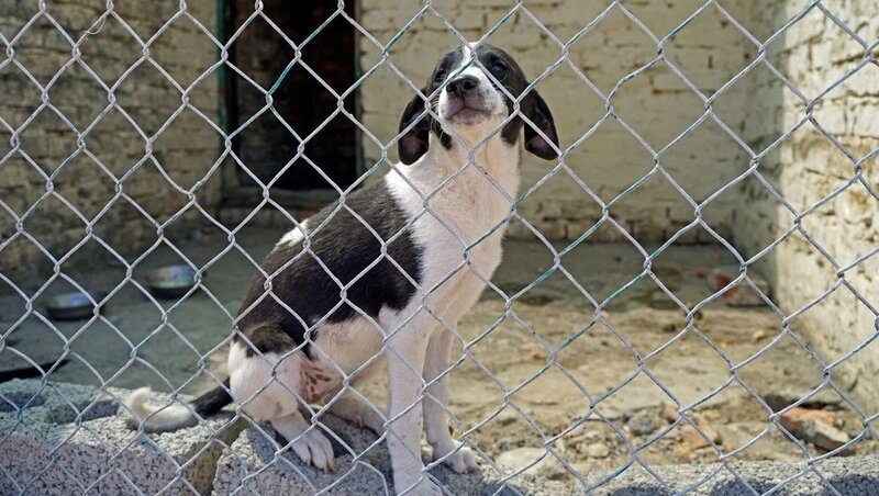      Фото: Тлеграм-канал Дмитрия Богданова