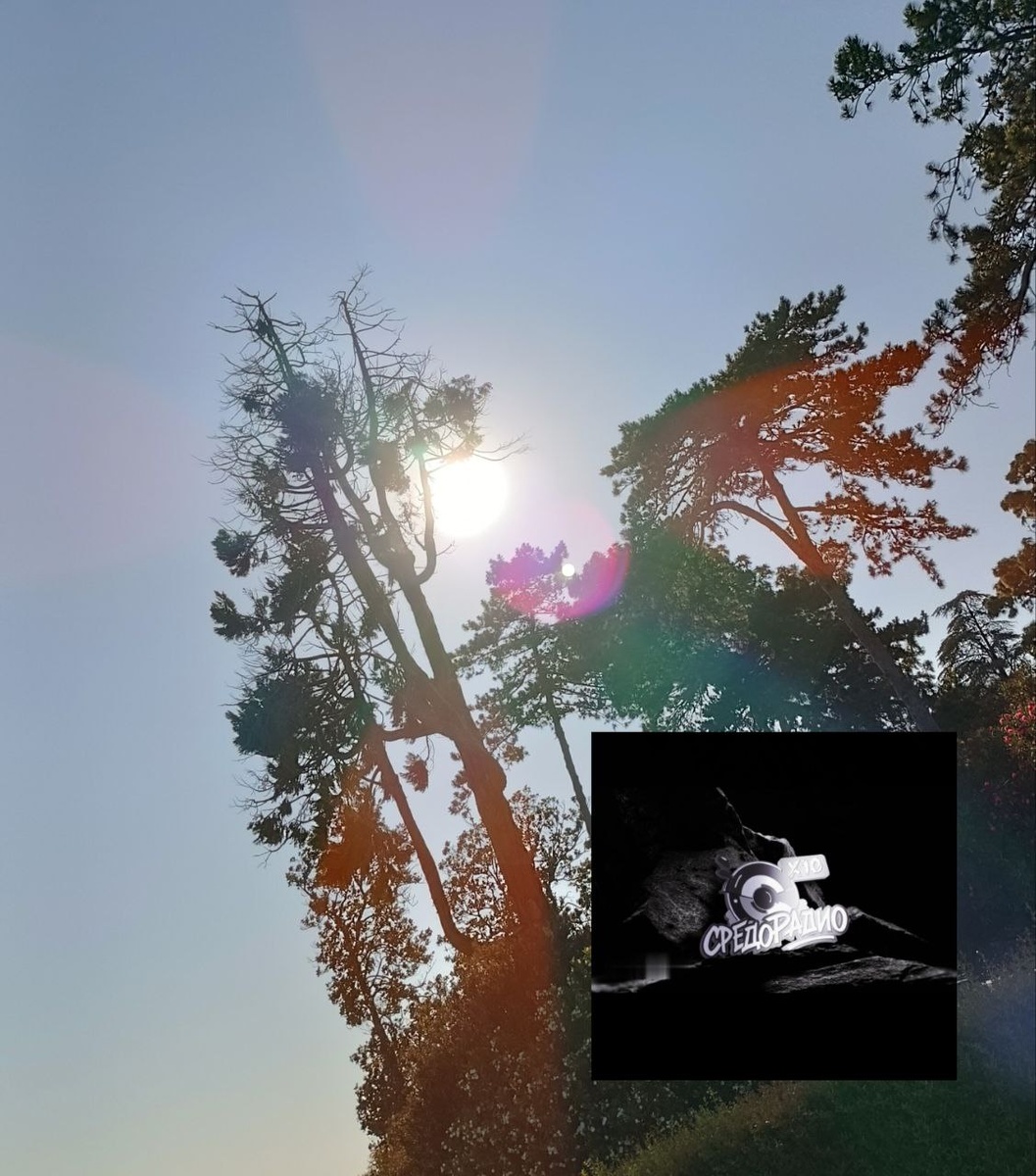 Личный опыт: как Средорадио стало для меня местом силы и открыло рубрику «Карьерный центр» для поиска призвания и карьерного роста.