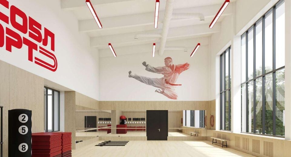    Визуализация типовых решений для спортивных объектов МО в составе дизайн-проекта / Сайт ЕИС ЗАКУПКИ, Бренд бук