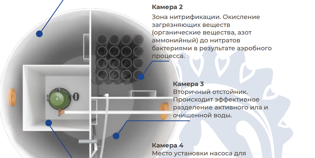 Вся правда о бактериях в автономную канализацию: когда они не нужны и могут даже навредить