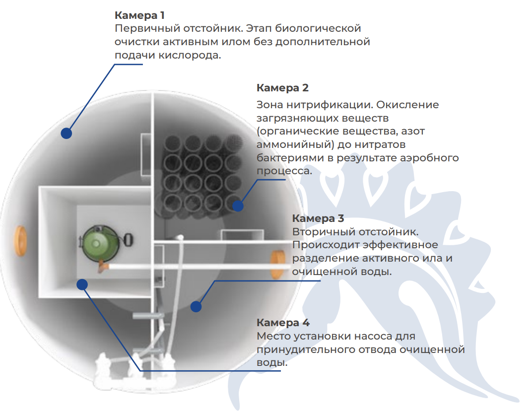 Разработано и создано: https://epishura.ru Источник фото: https://epishura.ru
