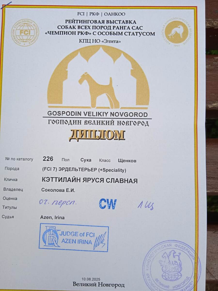 Фото диплома прислано хозяевами.