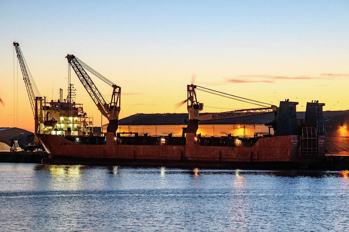    Фото: Доминик Бутен, источник: РИА Новости