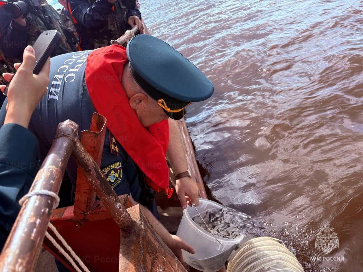    Спасатели Югры сделали подарок региону в честь 35-летия МЧС РФ, выпустив мальков осетра в Иртыш