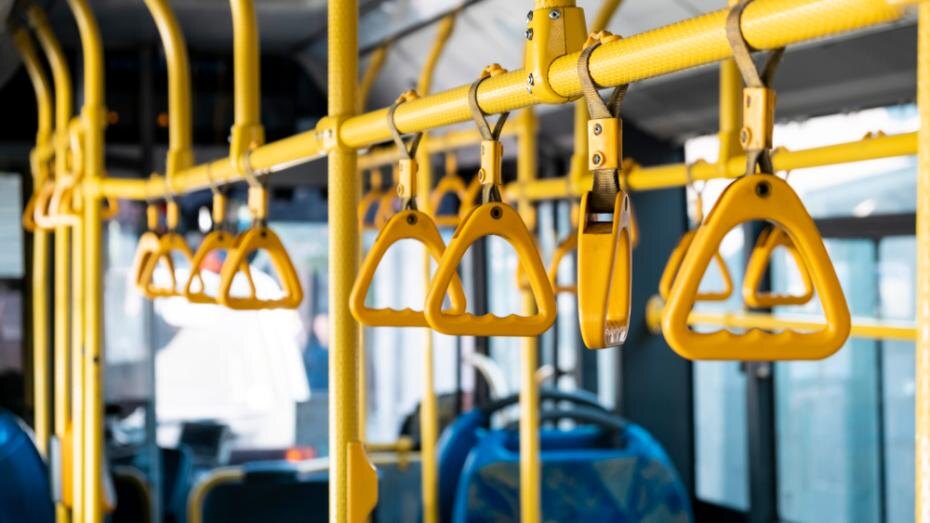    Shutterstock/FOTODOM