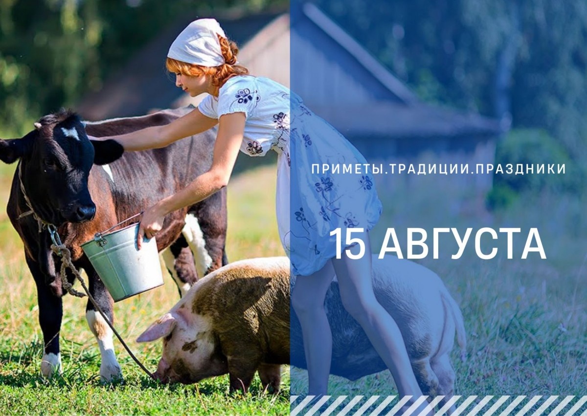   ГТРК "Ставрополье"