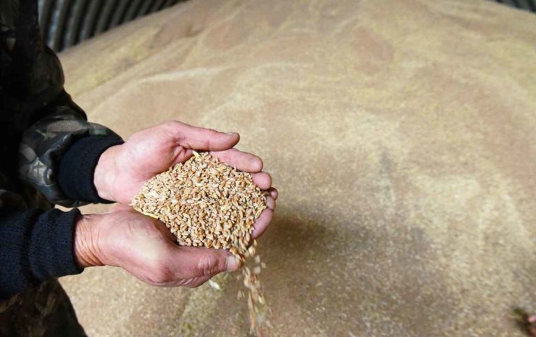    Экспорт АПК Оренбуржья вырос на 26 процентов Алла Черкесатова