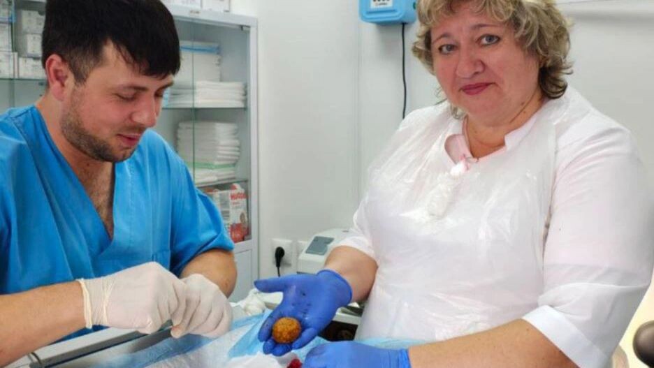    Фото: t.me/vet_yanao