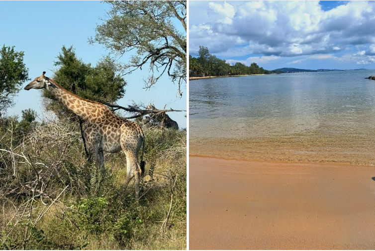 Отдых на о. Фукуок - когда лучше лететь на отдых, отзывы туристов