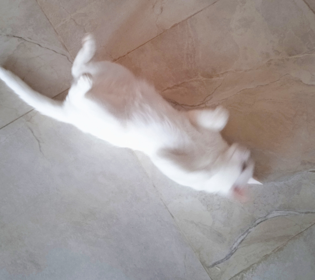 ну чО, счастлив! 