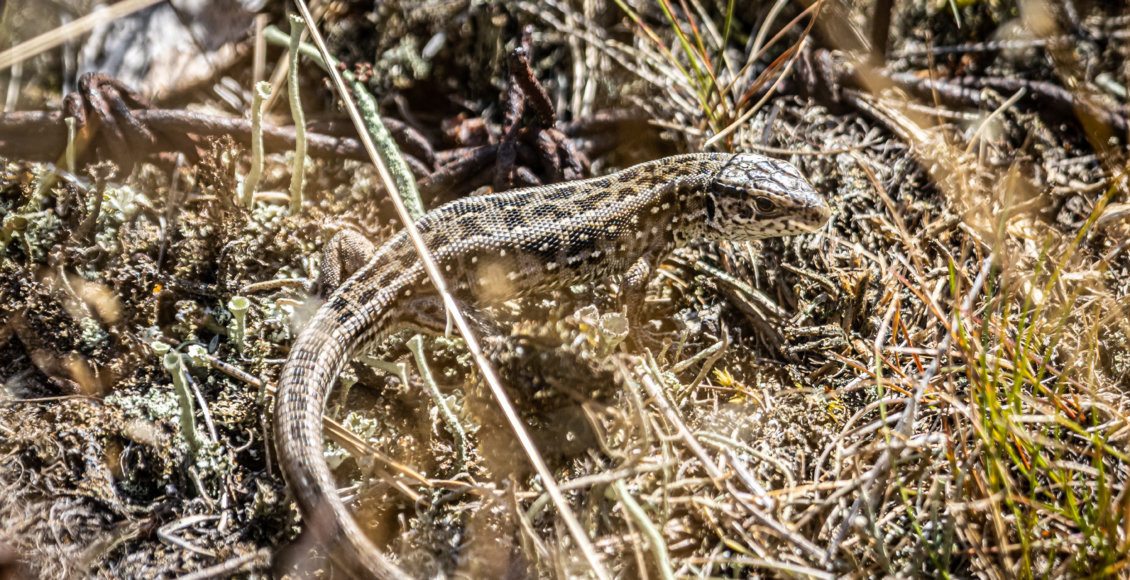    Фото: Дмитрий Васильев