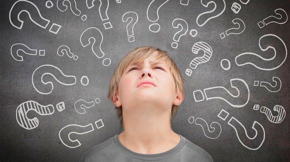 Какие предметы выбрать для сдачи на ОГЭ/ЕГЭ в 2026