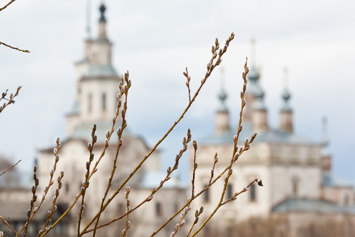    Фото с сайта Pixabay.com, автор anvel