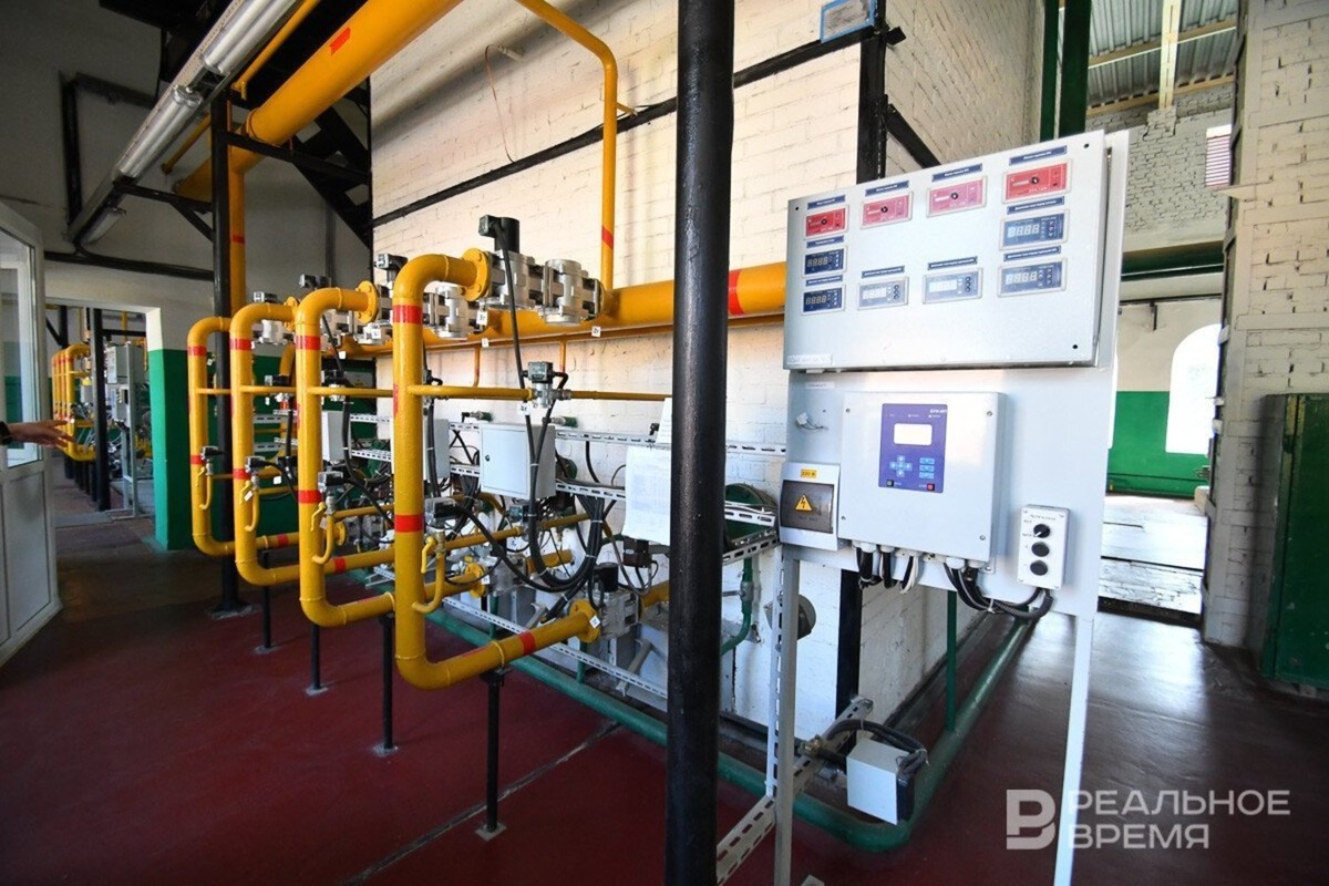   Максим Платонов / realnoevremya.ru