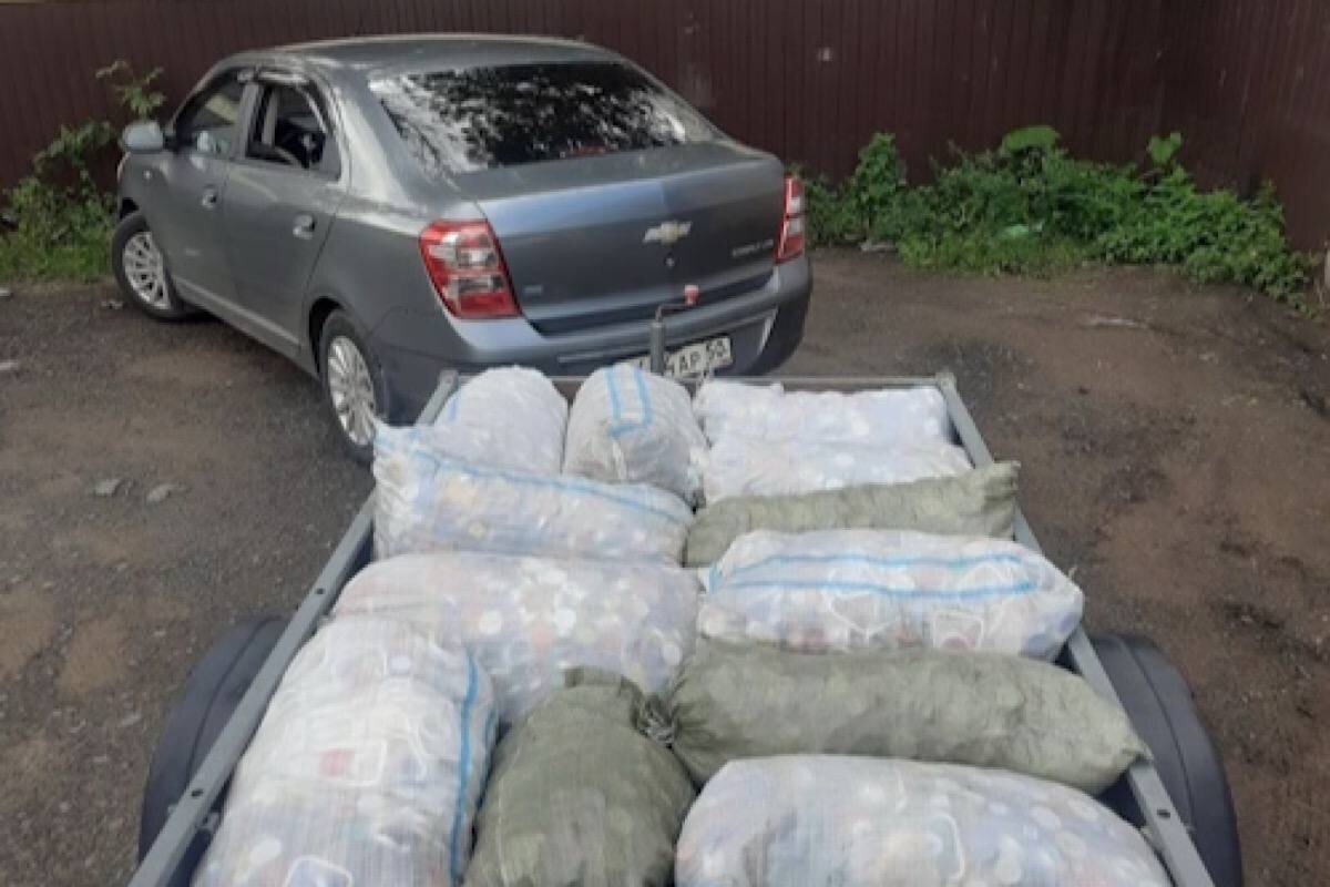    Фото: эколого-волонтёрский проект «КвадроЭкопатруль», источник: Вконтакте