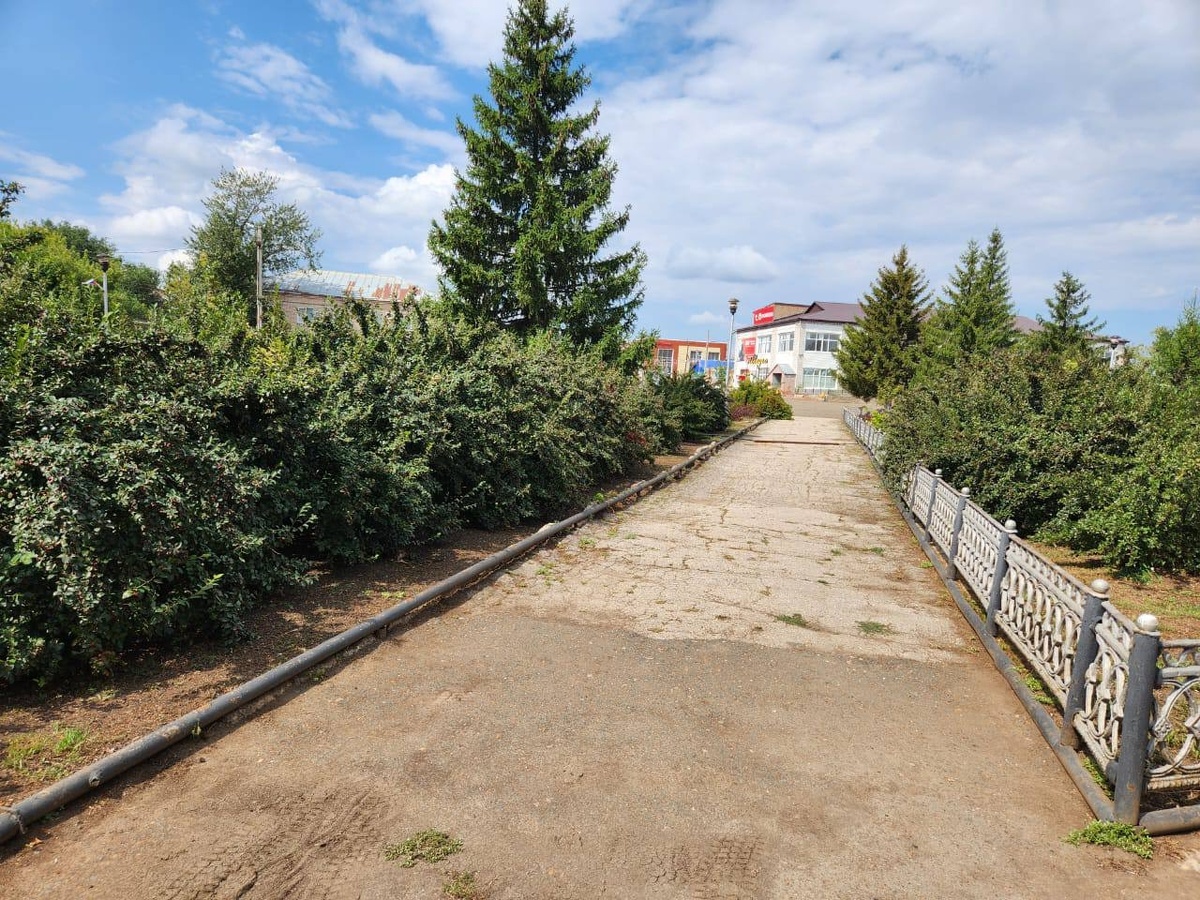    Фото: Правительство Оренбургской области, источник: orenburg-gov.ru