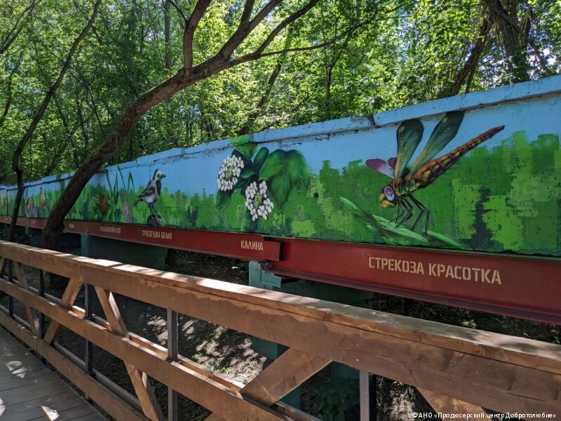    Фото: пресс-служба администрации Перми Полина Анкушина