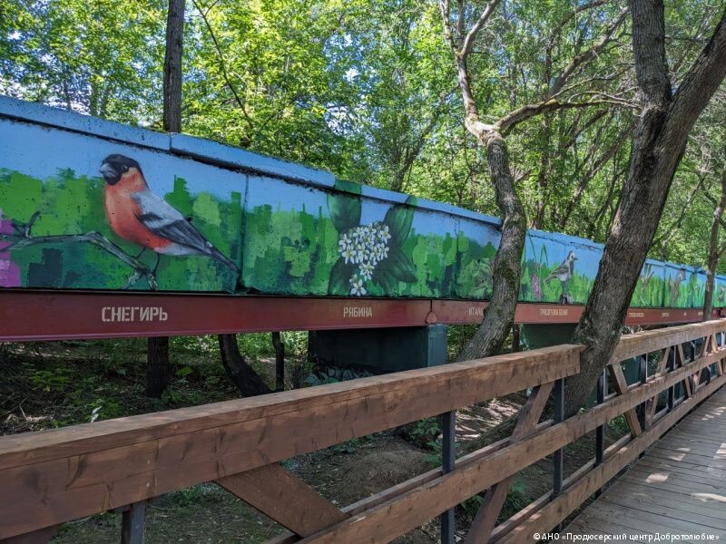    Фото: пресс-служба администрации Перми Полина Анкушина