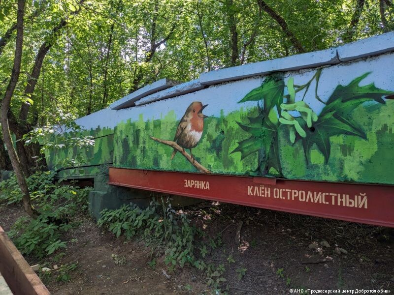    Фото: пресс-служба администрации Перми Полина Анкушина