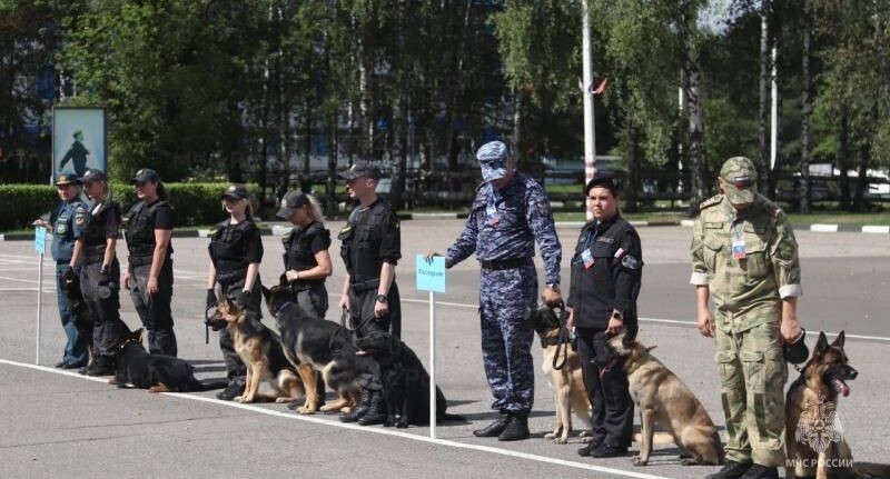    ГУ МЧС России по Московской области