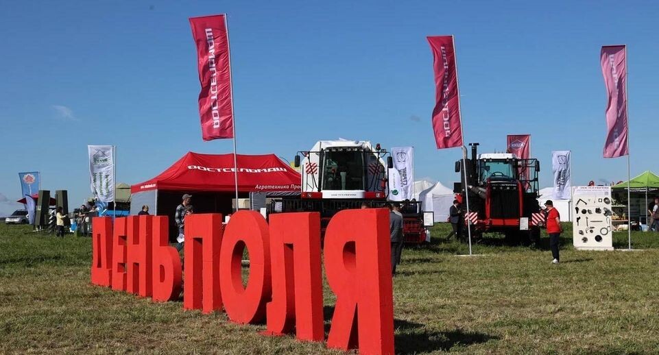    Екатерина Агеева