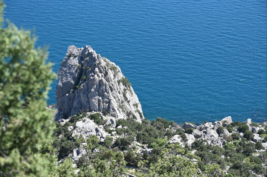 Фото: Гала Амарандо