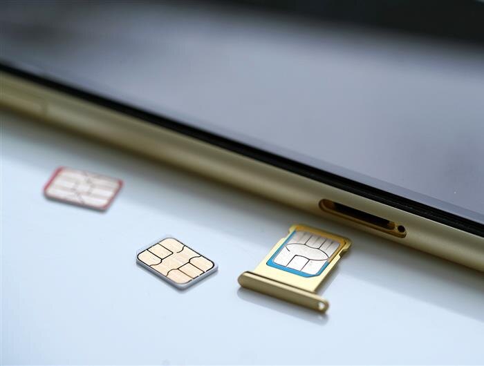    ФОТО: Shutterstock/автор LanKS