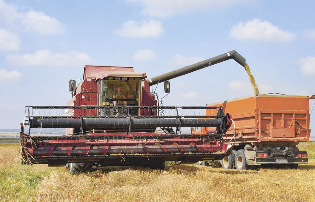 Фото: Гала Амарандо