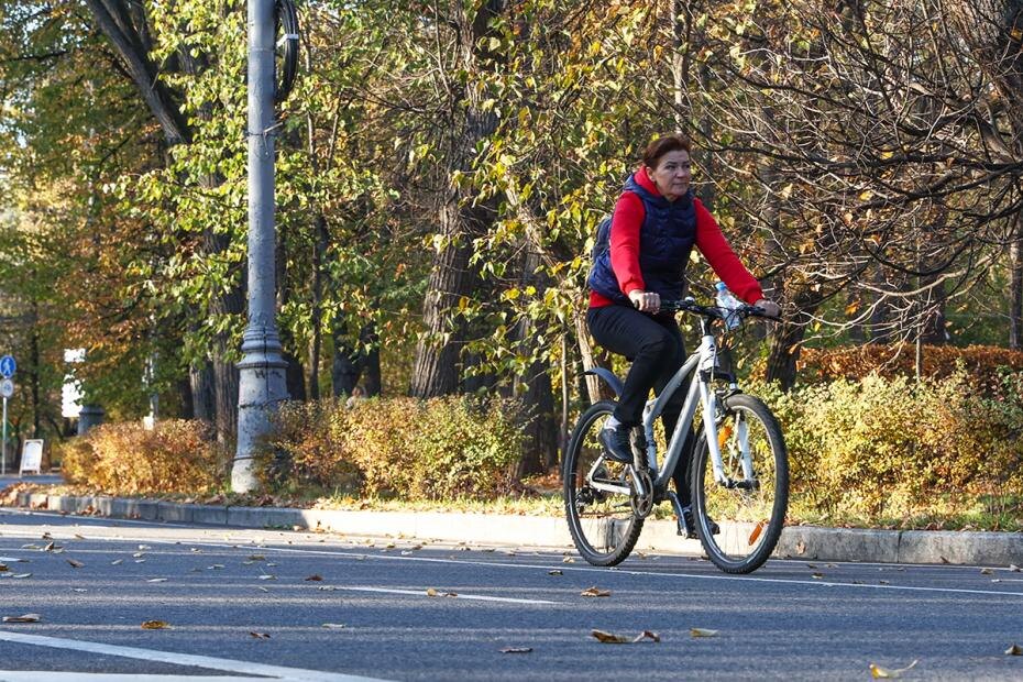    Наталья Шатохина/NEWS.ru