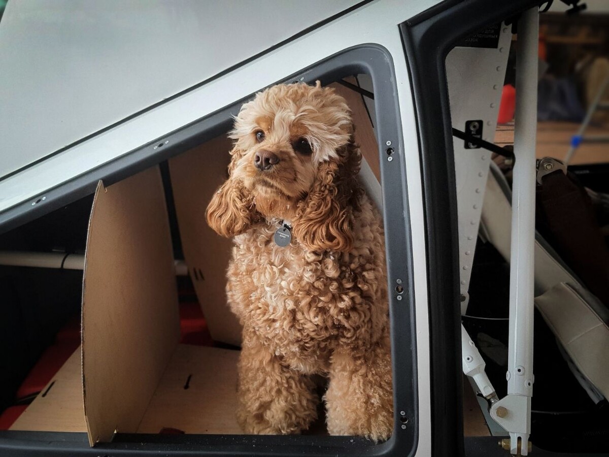 телеграм-канал «KD aero»