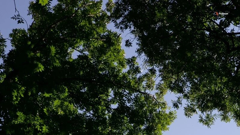      Фото: Валерия Алтухова / / ИА «Победа26»