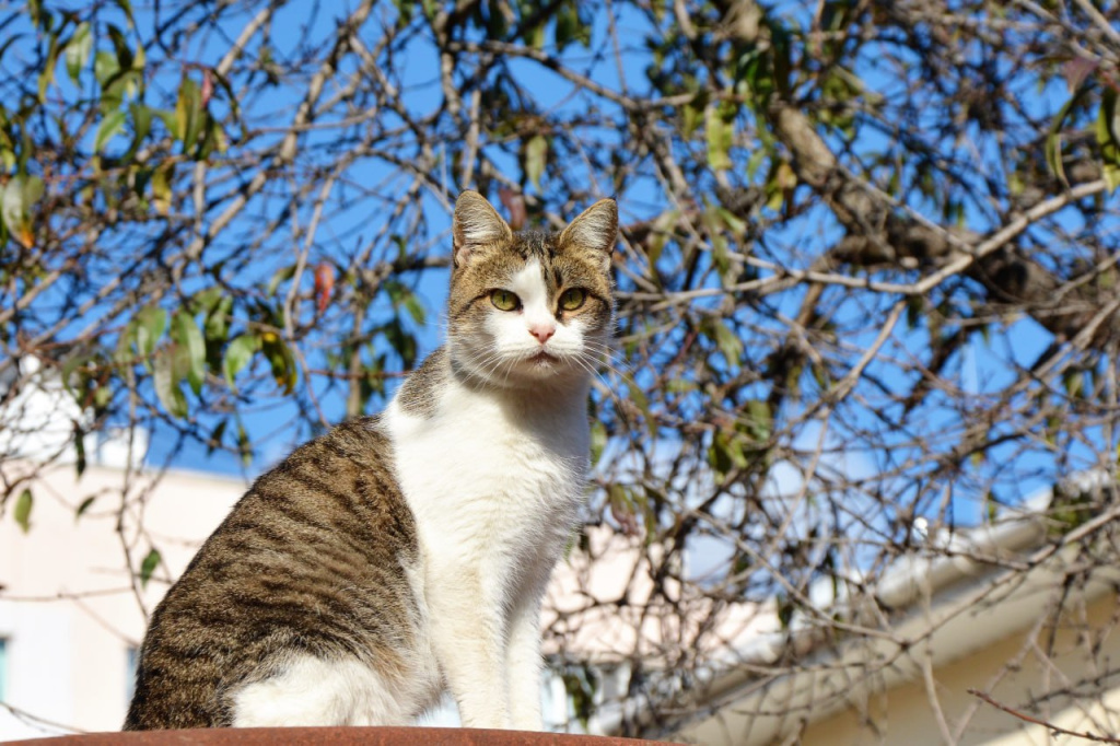 Фото: Гала Амарандо