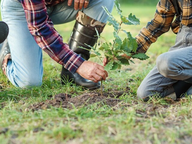    Фото: 123RF/gorynvd