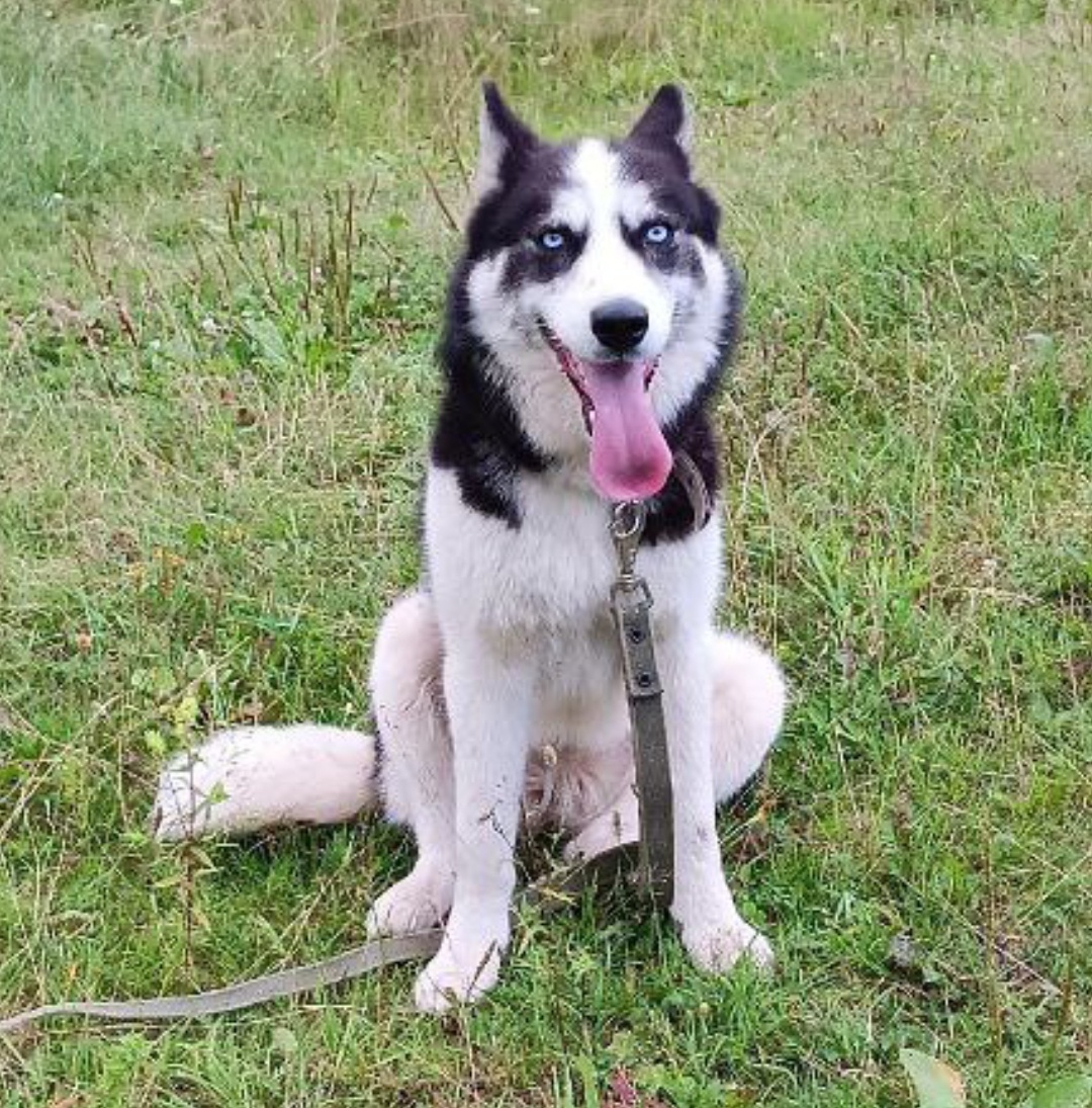 Ева, возраст 1,5 года 