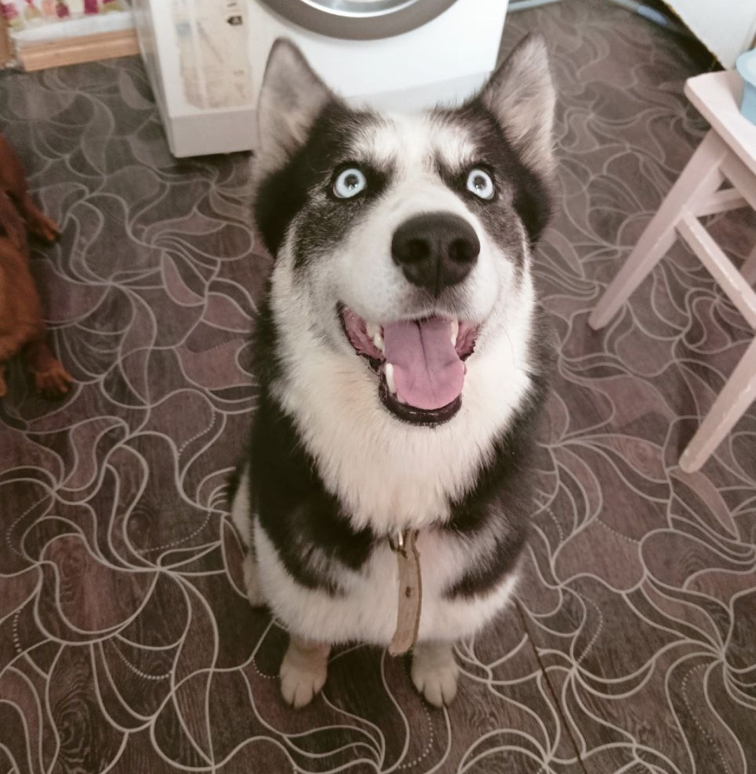 Ева дома у Марии