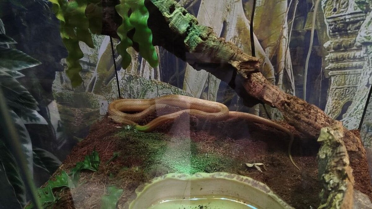    Фото: телеканал «Краснодар»