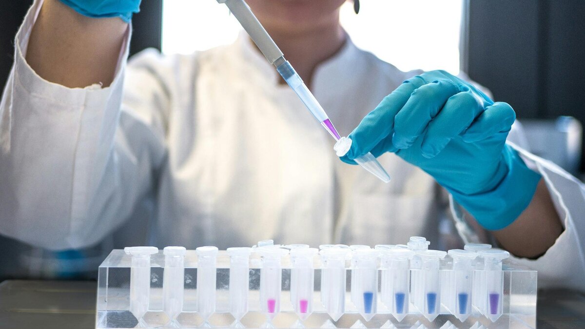    Фото: unsplash.com