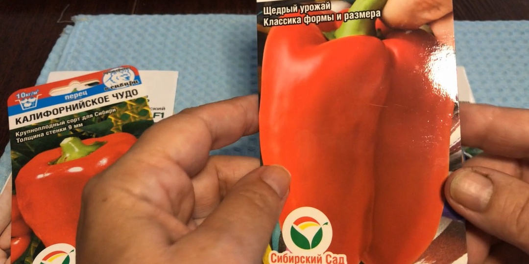 Покупка семян в интернет-магазине. Огородник.ру.