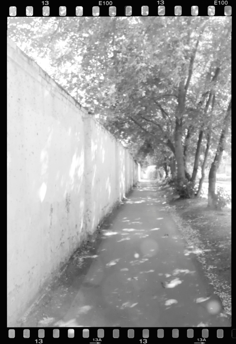 Пусть самооценка - явление, возникающее в уме человека на основе его опыта, обусловленна внешней средой, гормональным состоянием и отношением других людей к этому человеку.
Тогда, самооценка существует на относительном уровне истины (не существует), как явление, оказывающее влияние на поведение человека и так же относительно существует (не существует) на абсолютном уровне истины, потому что она, как уже было определено, является обусловленным явлением.
Будучи таким явлением ума, она выражается только в действиях и отношениях человека к тем или иным сторонам окружающей его реальности, а значит, она не находится в полной мере вне человека и не находится в полной мере в уме человека. При этом те явления, в которых она выражается, так же, как и она сама, являются обусловленными явлениями, и исключающими взаимозависимого существования. И раз она не отражается ни в одном явлении, наделённом самосущей причиной и независимостью от обусловленности, она существует на относительном уровне истины (не существует (уровень относительный(обусловленный))) и также не существует на абсолютном уровне истины.

Самооценки не существует.

#White_weaver