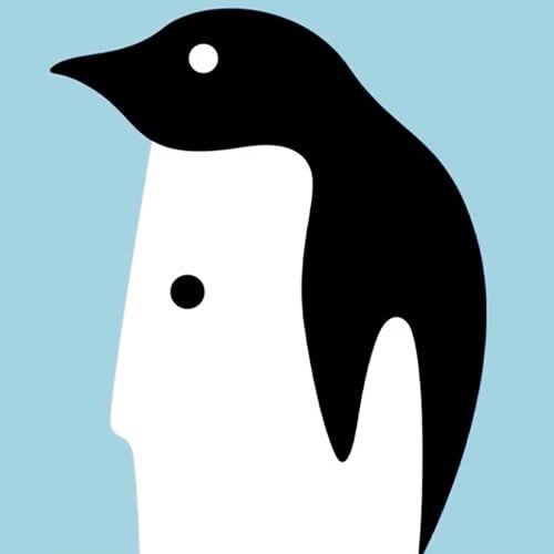 Иллюзия с двояким сюжетом