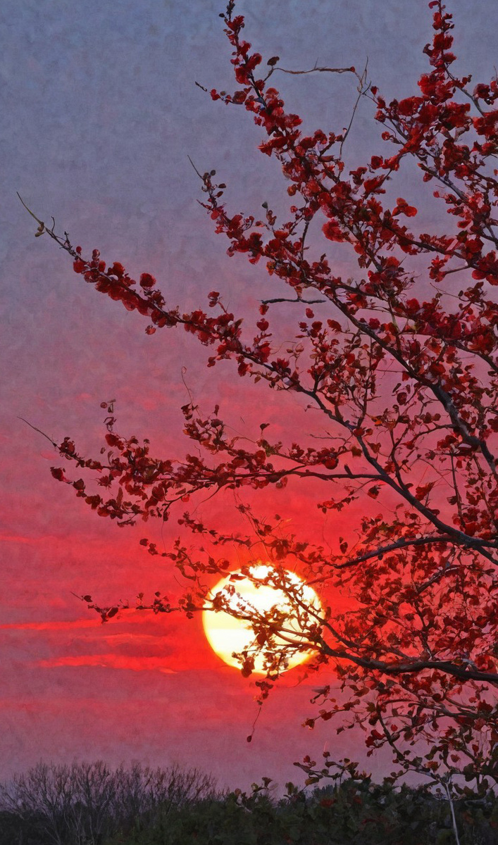 Небесное яблоко. Иллюстрация создана с помощью нейросети StableDiffusion и программы Photoshop.