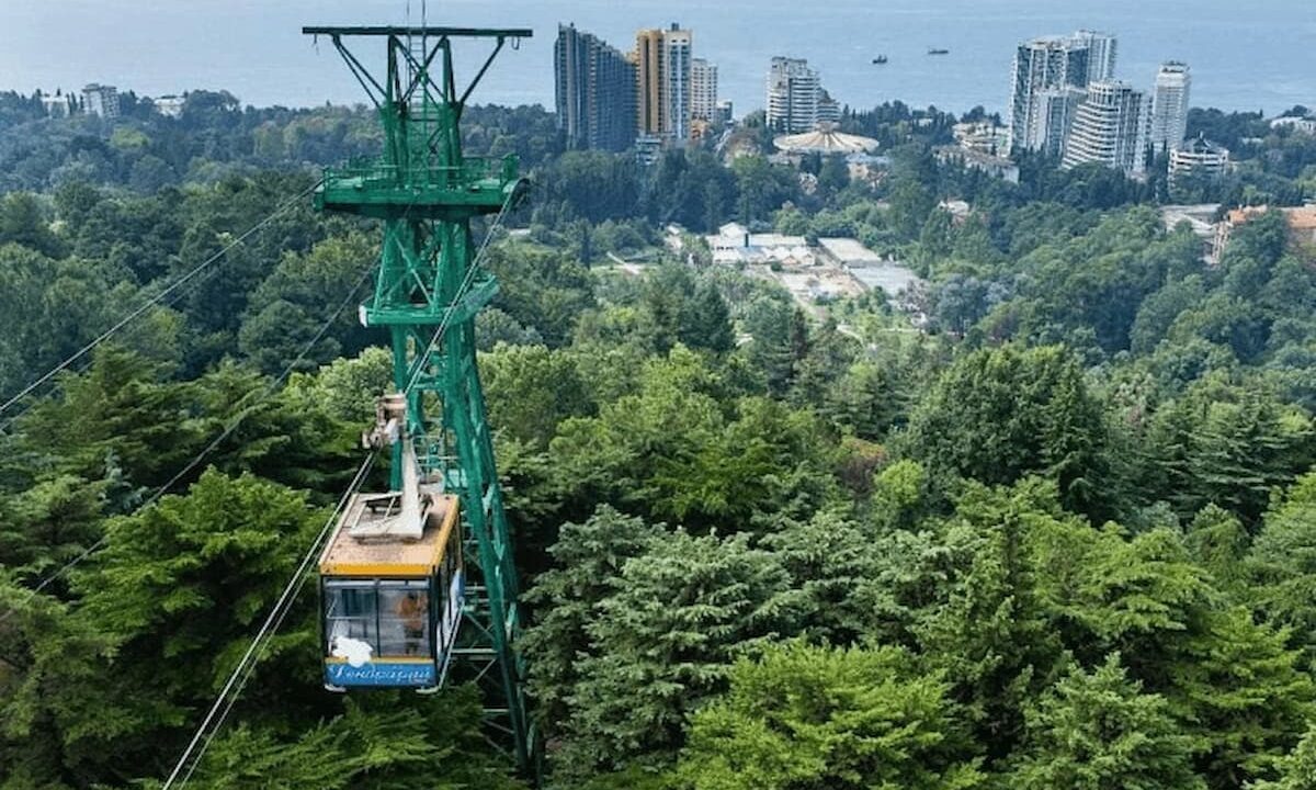    Фото пресс-службы Сочинского нацпарка