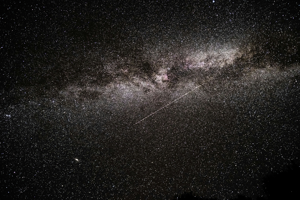 Фотограф: Andriy Nestruiev