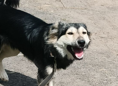 Милочка, 8 месяцев