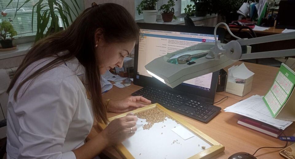    ФГБУ «ЦОК АПК»