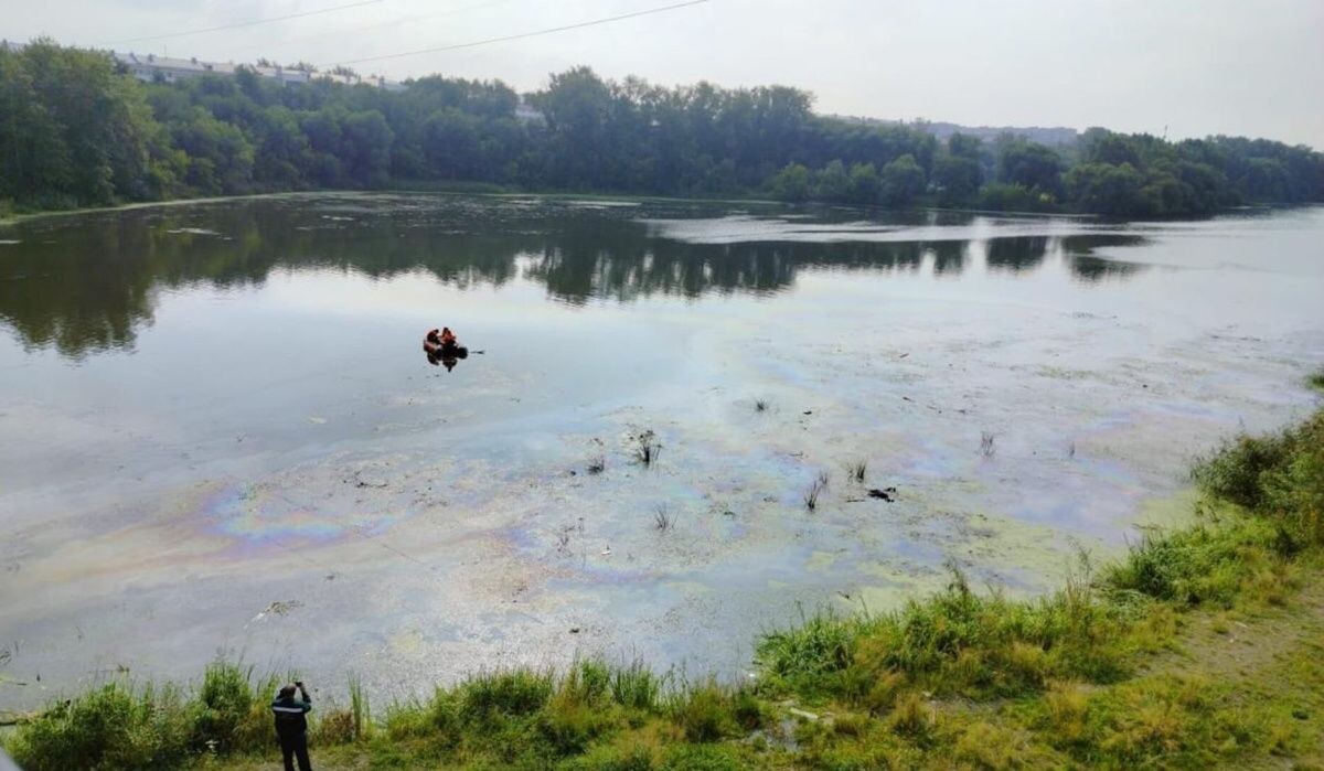     В Челябинске на реке Миасс обнаружено нефтяное пятно Источник: ria.ru Автор фото: Росприроднадзор