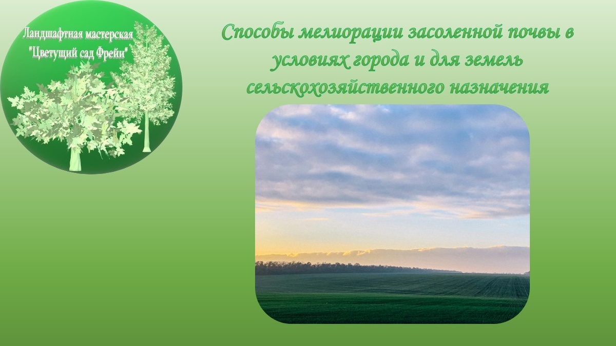 Фото автора с использованием изображения по Лицензии CC0.