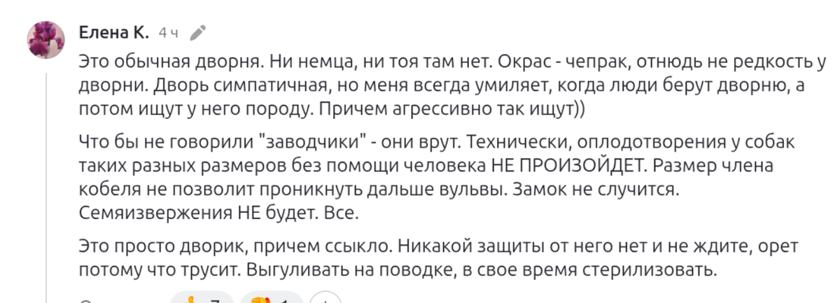 комментарий на моем дзен-канале