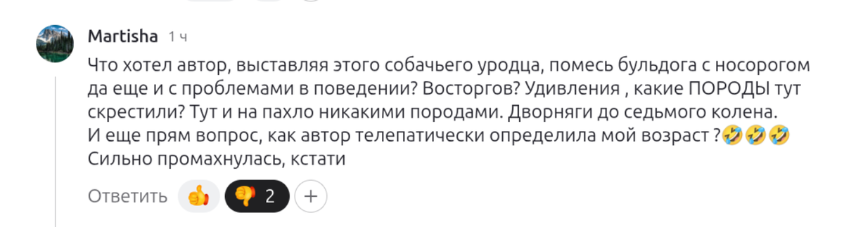 комментарий на моем дзен-канале