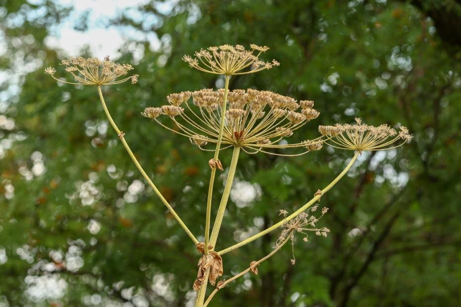    Сергей Петров/NEWS.ru